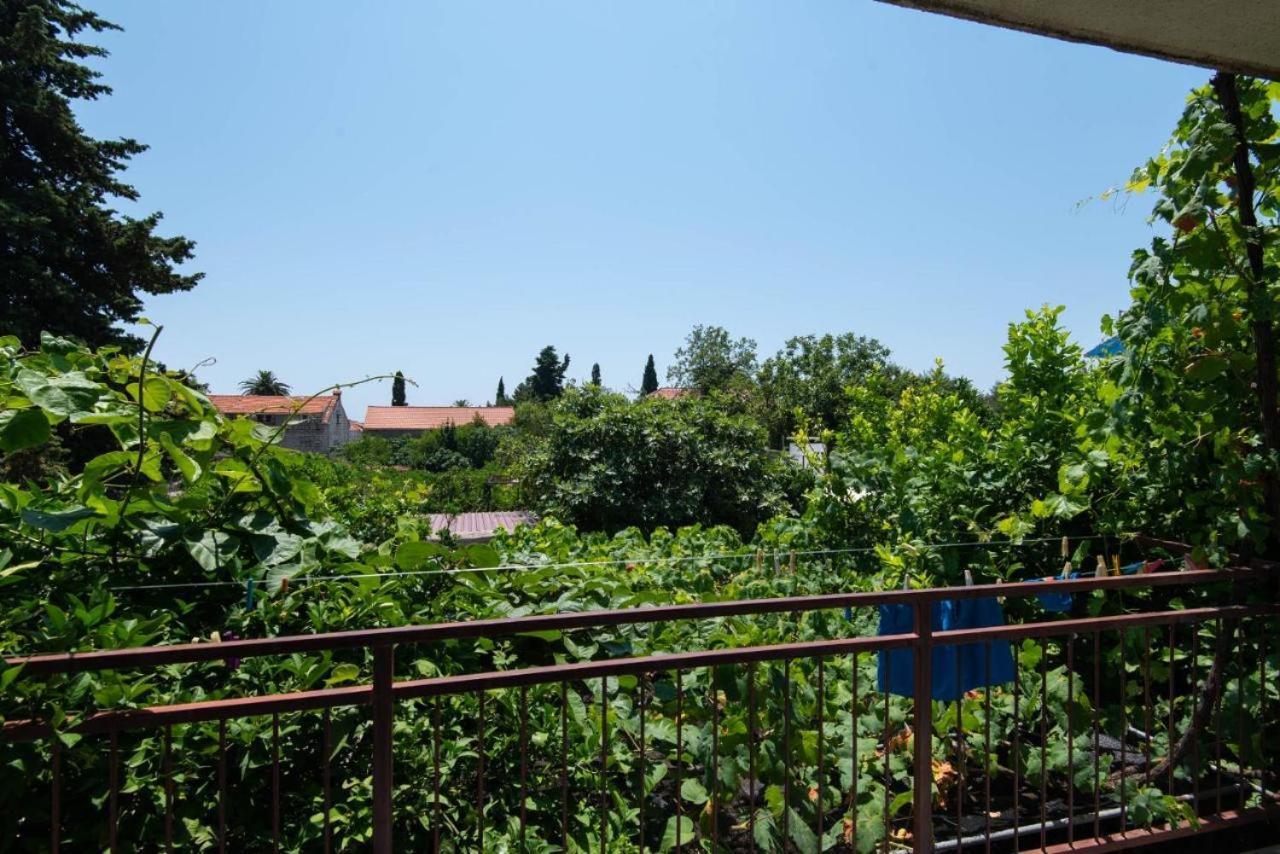 Apartments Ljiljana Orebić Екстериор снимка